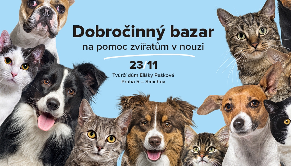 Přijďte na náš dobročinný bazar!