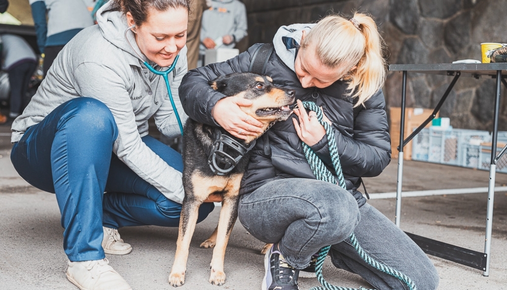 Světov&yacute; den boje proti vzteklině 2025
